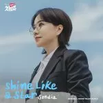 دانلود آهنگ Shine Like a Star (Doctor Cha OST Part.2) Sondia